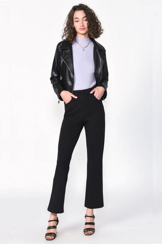 Greylin Collection Greylin Philly Ponti Trousers