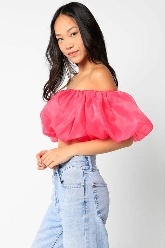 Ten North Olivaceous Organza Puff Ball Top